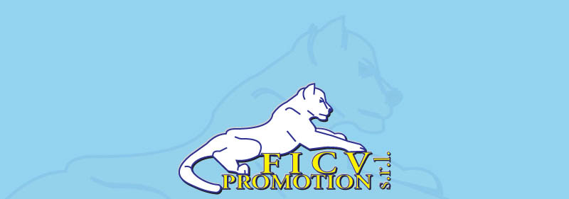 Ficv - Promotion